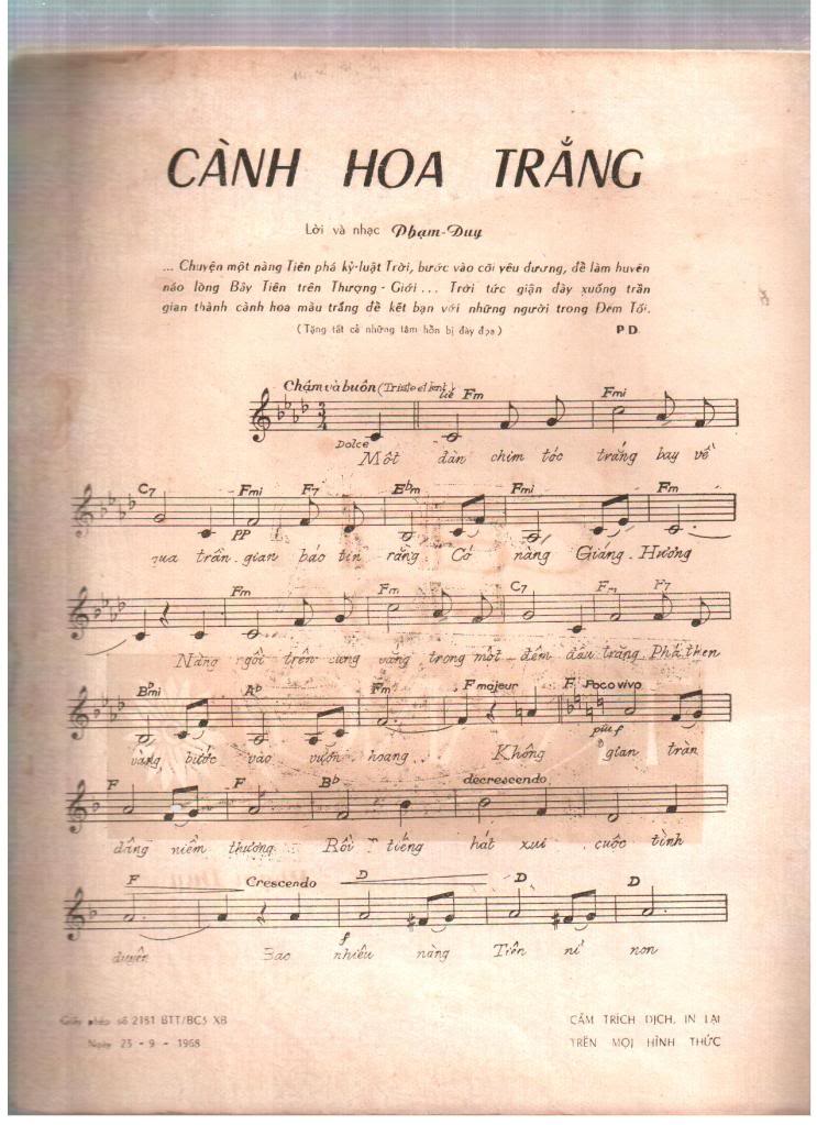 Cành Hoa Trắng - Phạm Duy