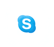 SkypeFX