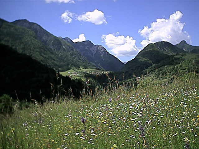 Zwischen Alpen und Adria - das Friaul