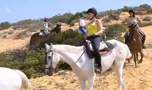 Berühmte Donana-Pferde in Andalusien