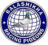 логотип Балашихинский клуб спортивного голубеводства