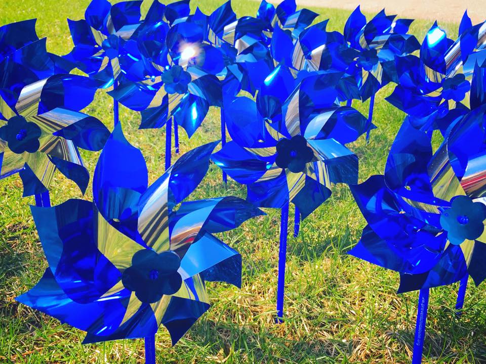blue pinwheels in a field