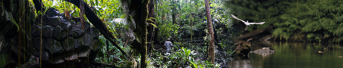 Indio-Maiz Biological Reserve
