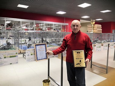 Общероссийская выставка спортивных голубей г.Балашиха, 13-14.12.2019 год