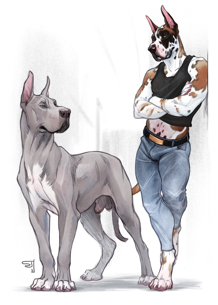 an anthro great dane with white and tan fur standing next to a feral great dane with white and grey fur