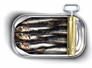 sardinen